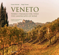 Veneto terre e paesaggi del vino
